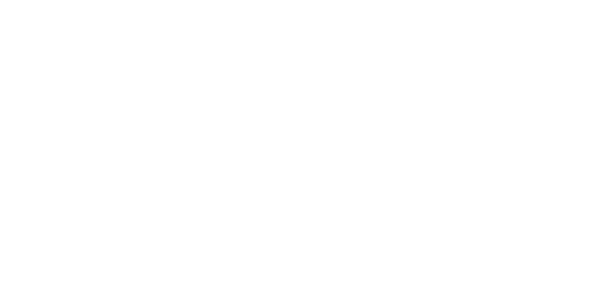 Fall Carnival - Food